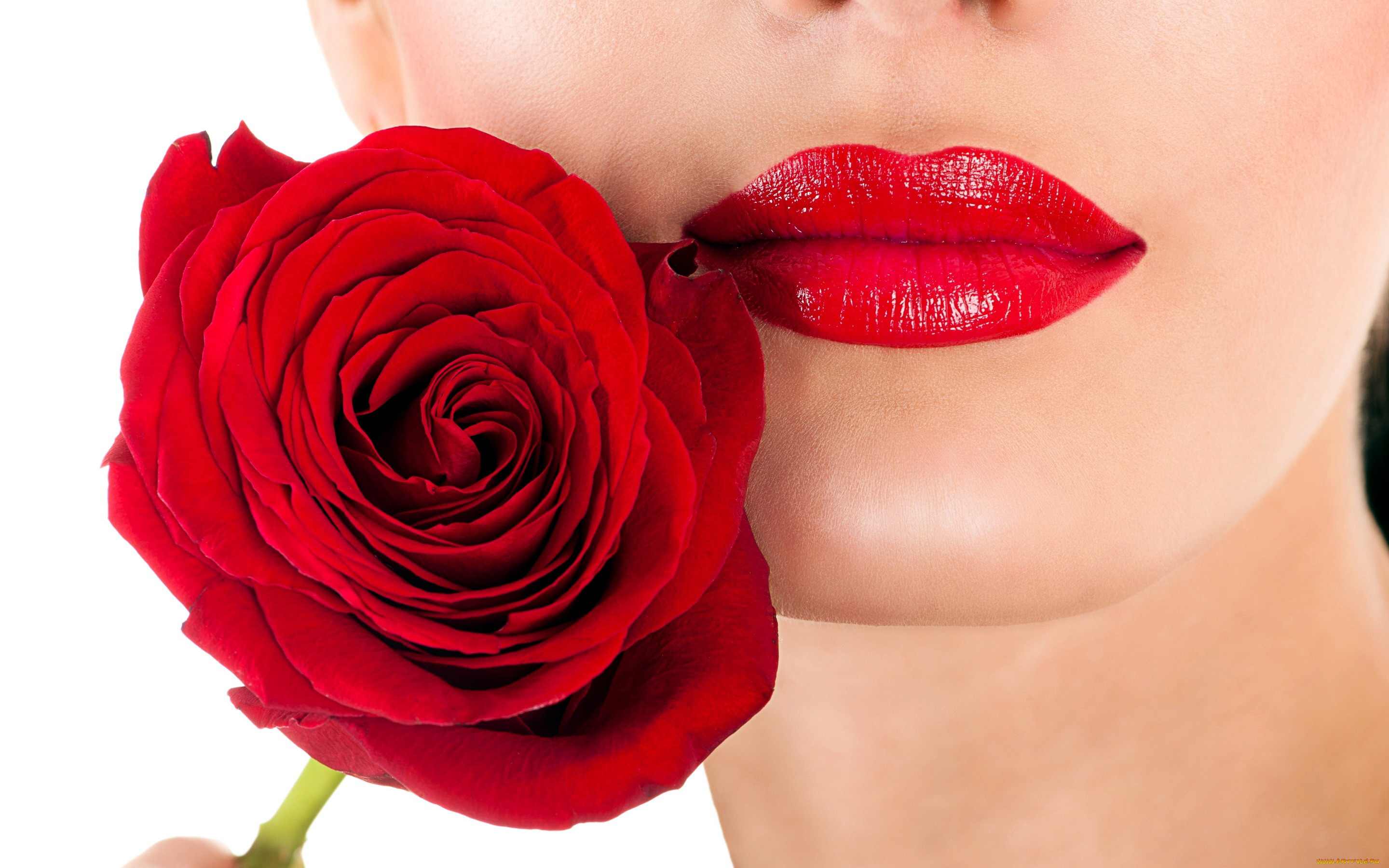 Девушка с розой у губ